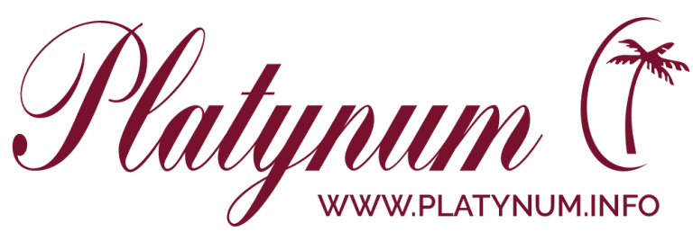 Platynum Logo